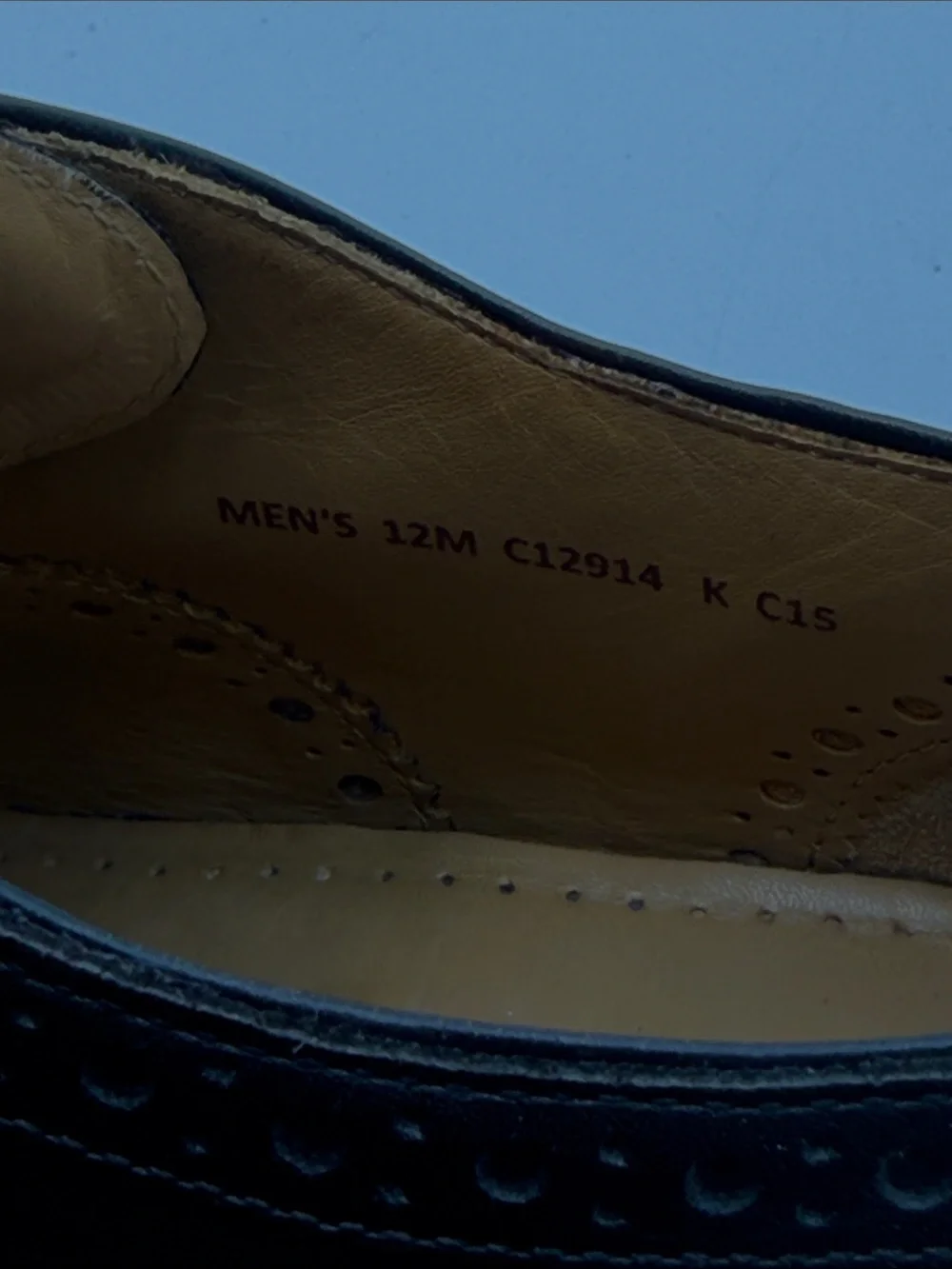COLE HAAN 12W Oxford Wingtip Brogue Perf Toe GRANDS $400 new